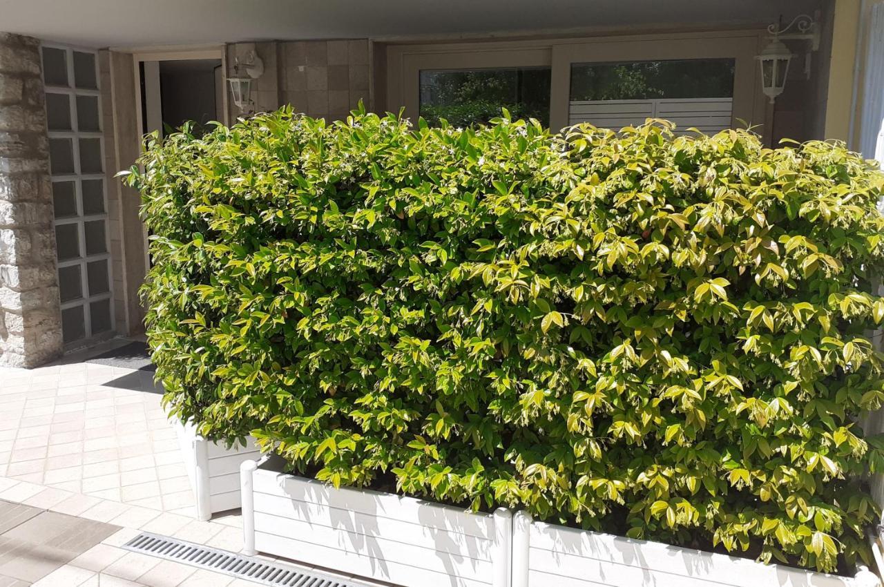 Minzoni94 - Twobedroom+Garden Lido di Camaiore Exterior foto